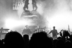 Moses Pelham Band live 3