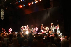 Willy mit Wolfgang Ambros und Wolfgang Niedecken